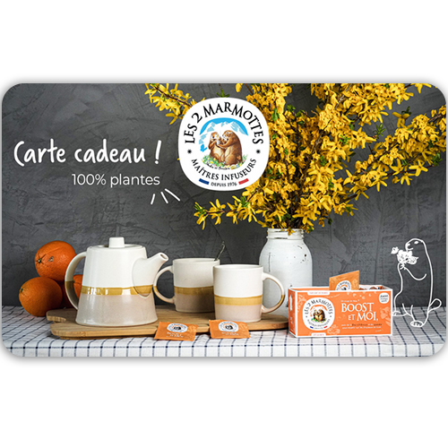Voucher VD Les 2 Marmottes France