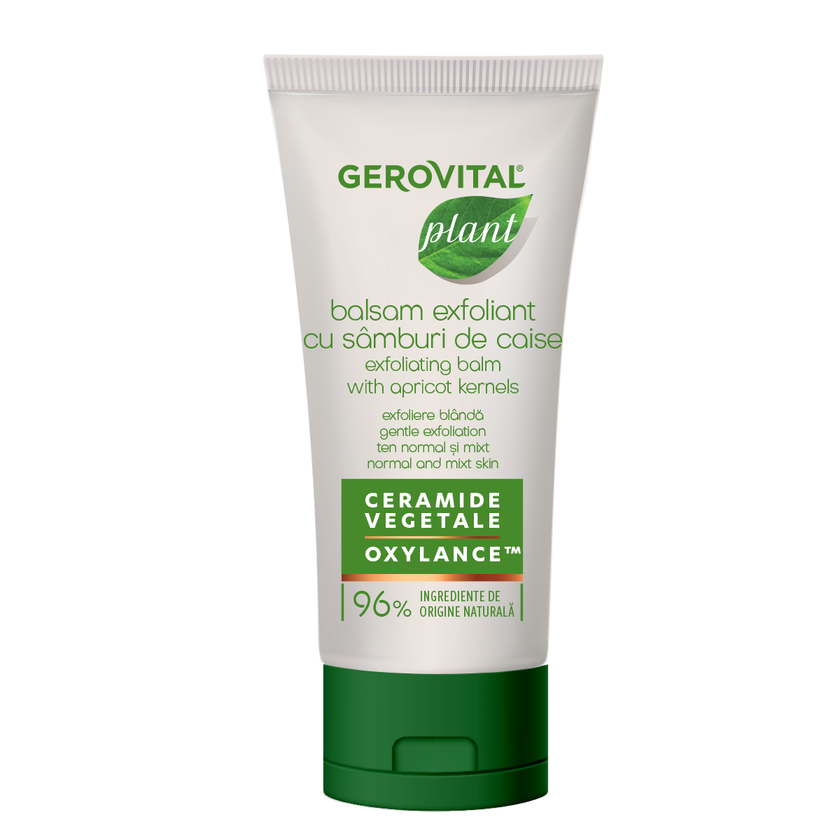 GEROVITAL PLANT apricot kernel scrub, 100 ml